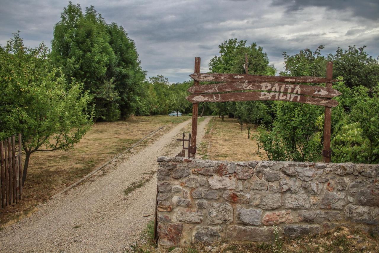 La Balta Otel Vadu Crisului Dış mekan fotoğraf